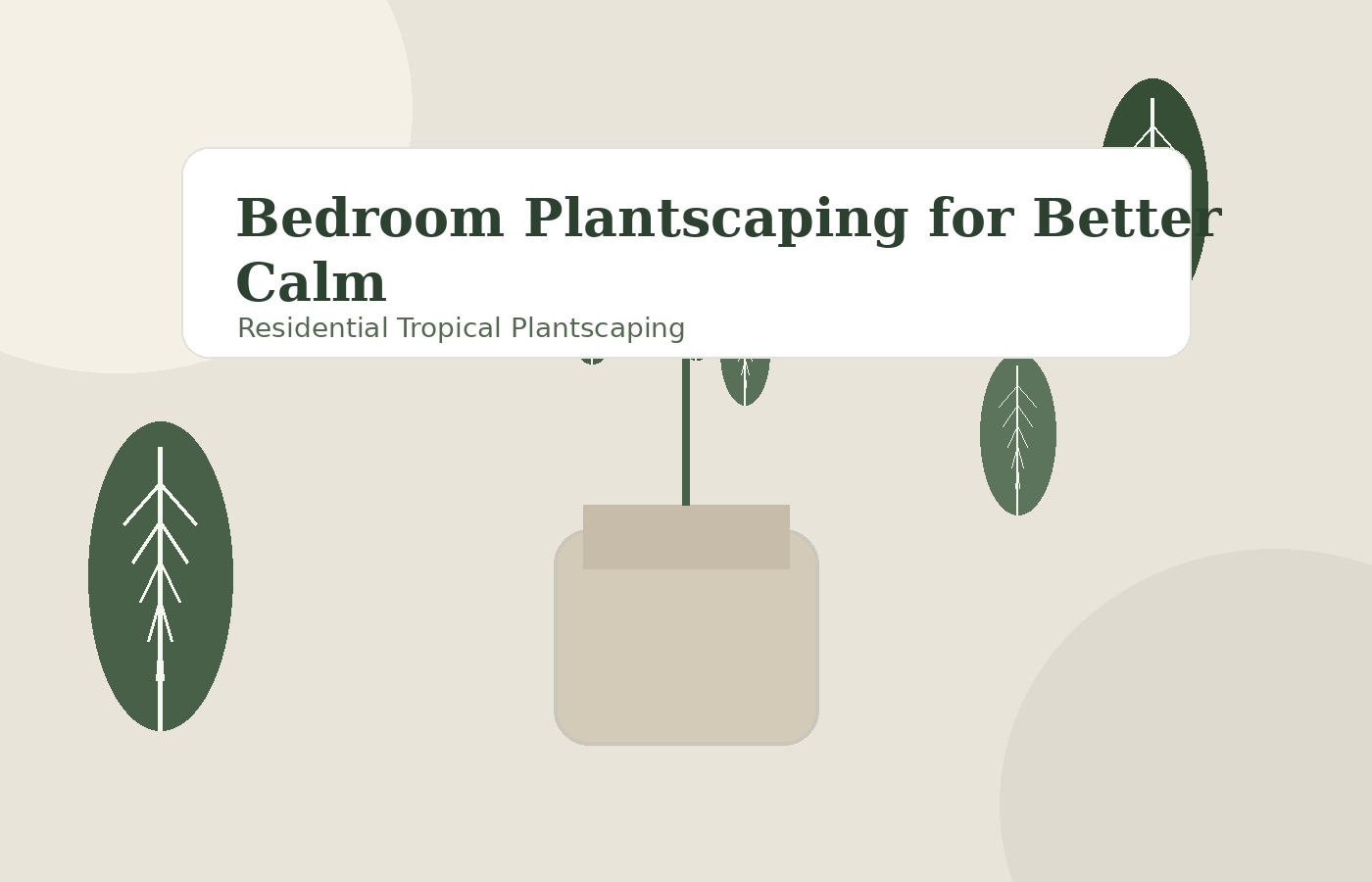 Bedroom Plantscaping for Better Calm