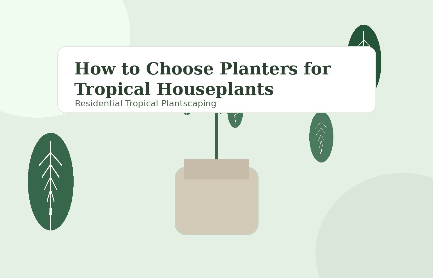 How to Choose Planters for Tropical Houseplants