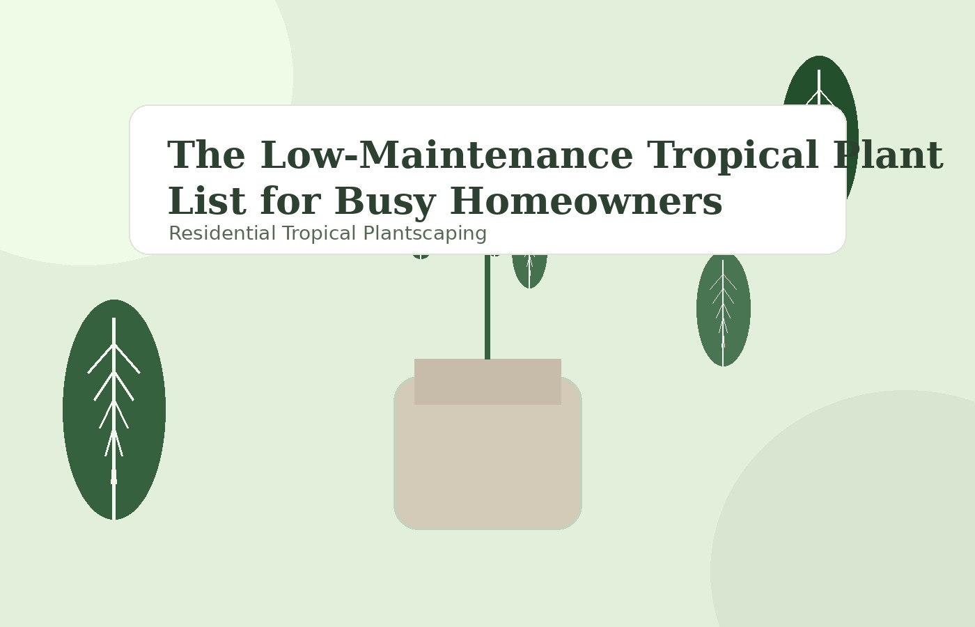 The Low-Maintenance Tropical Plant List for Busy Homeowners