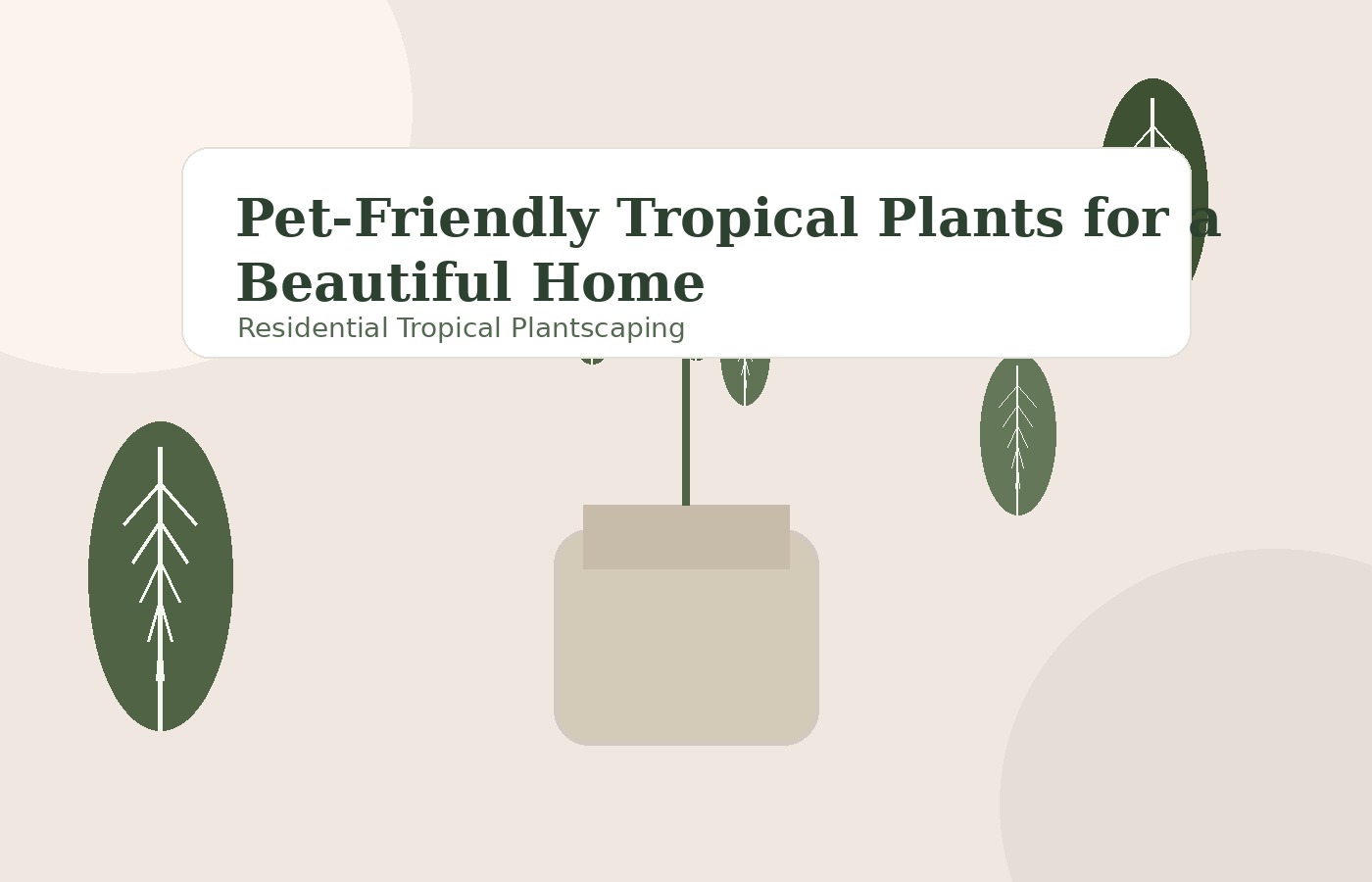 Pet-Friendly Tropical Plants for a Beautiful Home