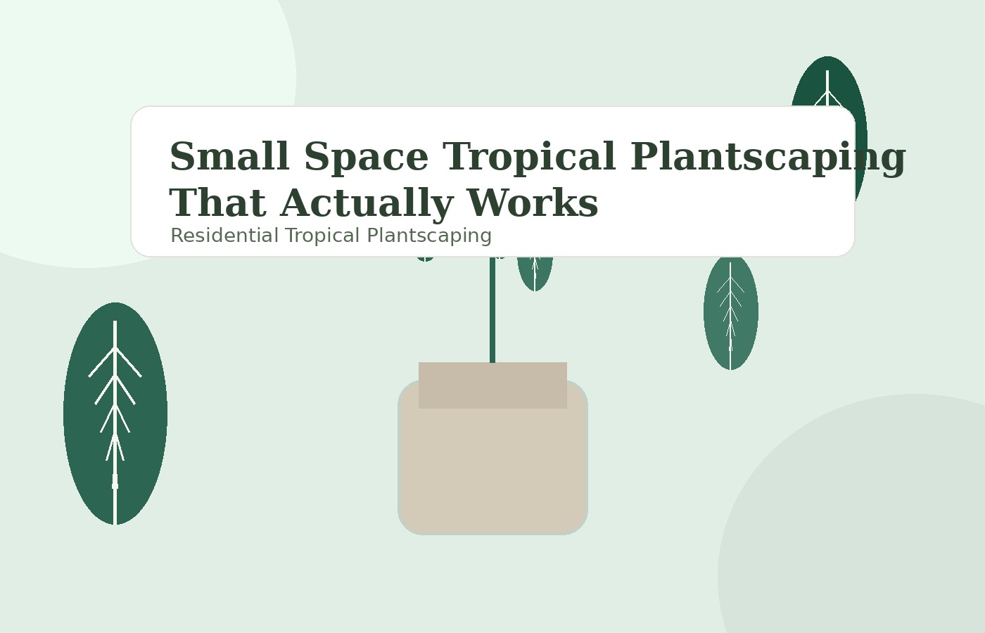 Small Space Tropical Plantscaping That Actually Works