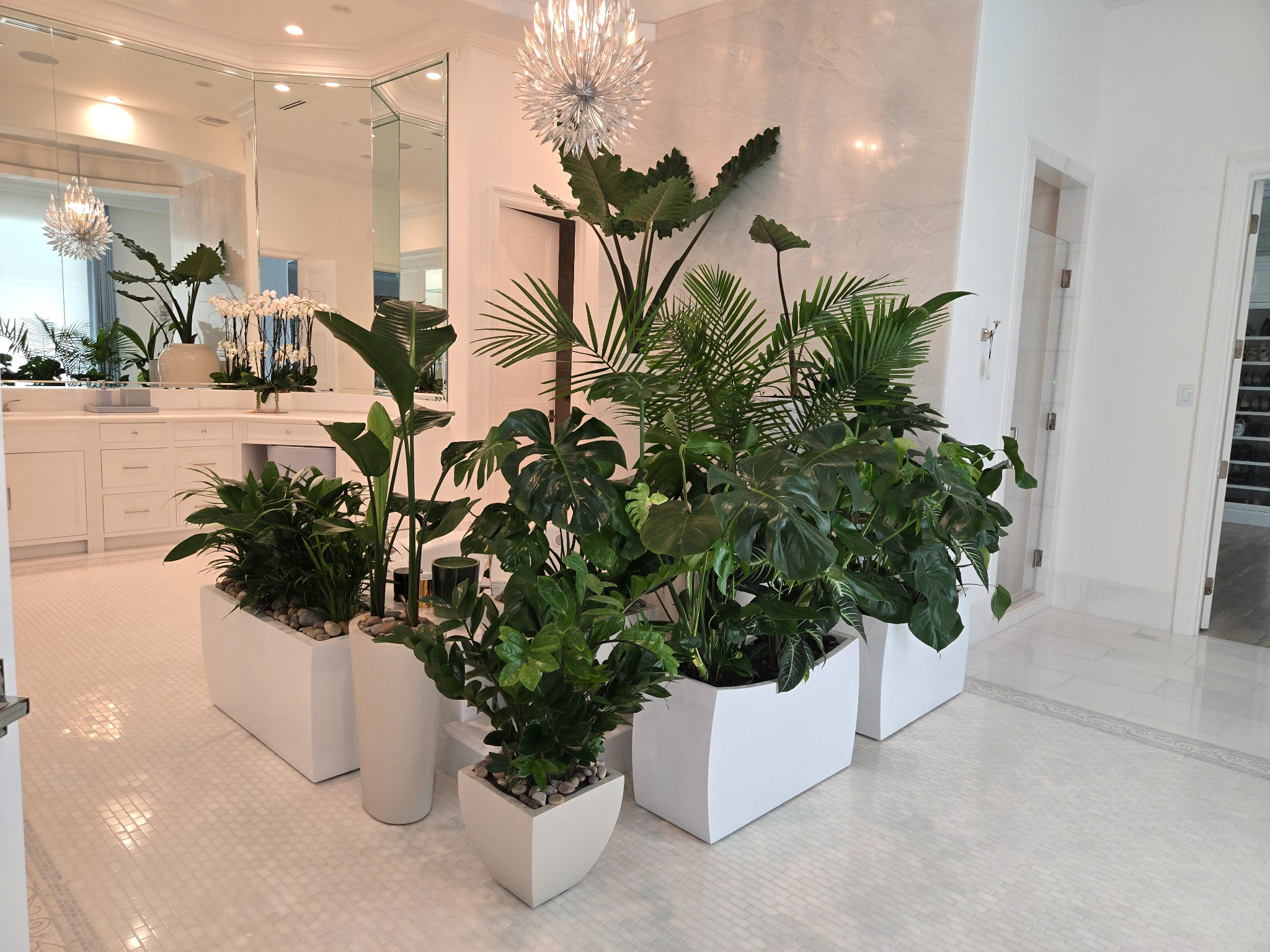 Grand Estate Interior Plantscape