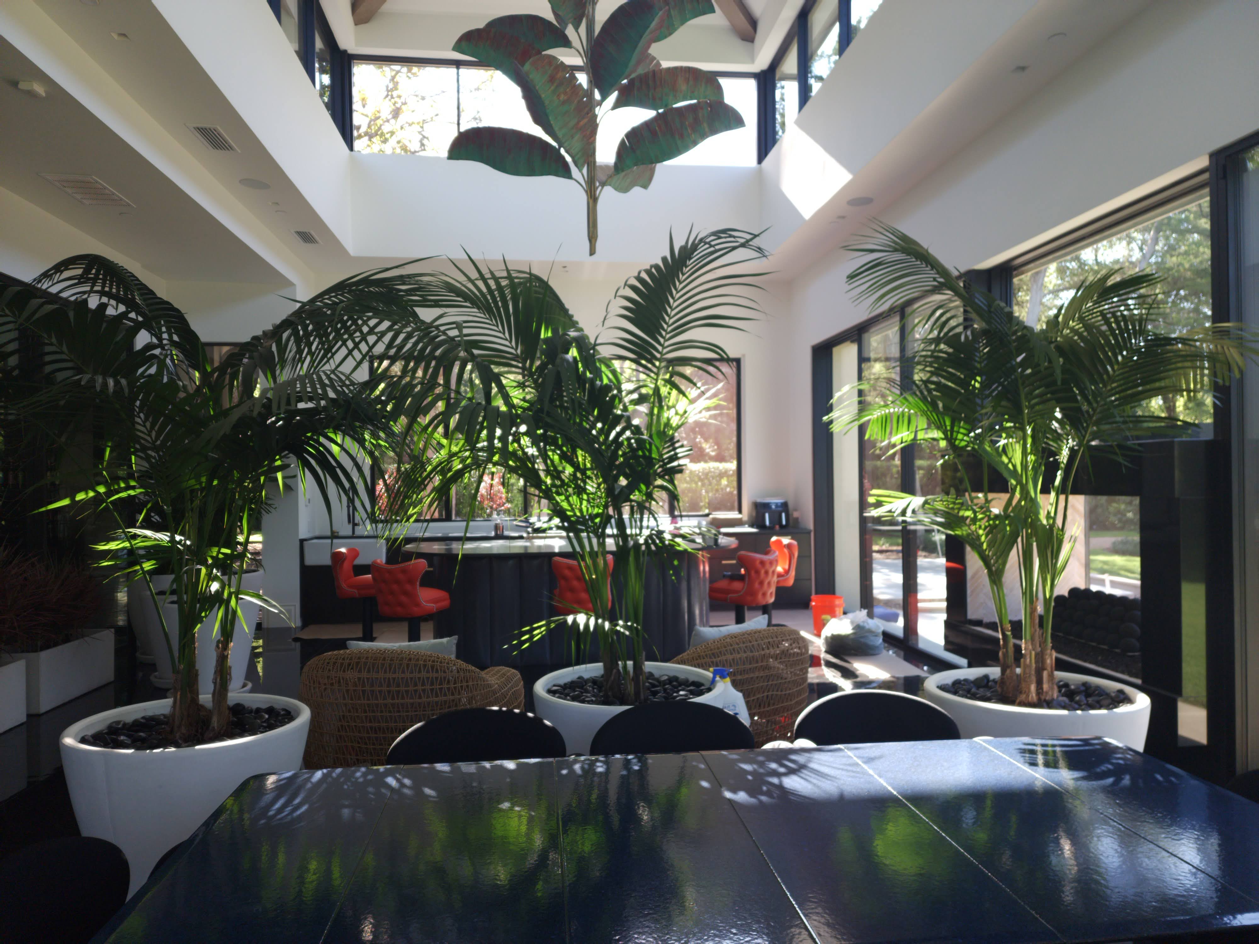 Luxury Atrium Botanical Installation